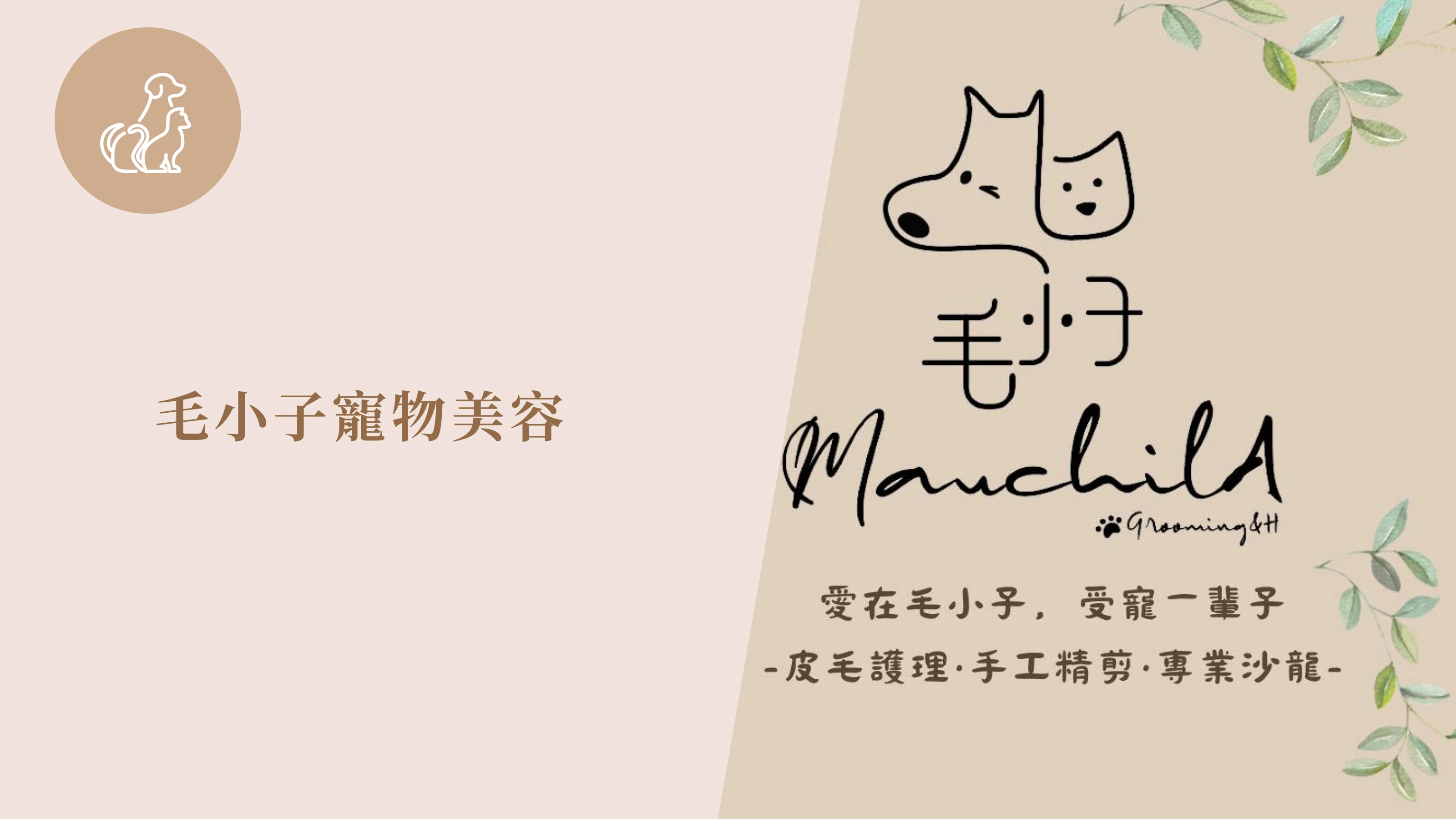 毛小子寵物美容